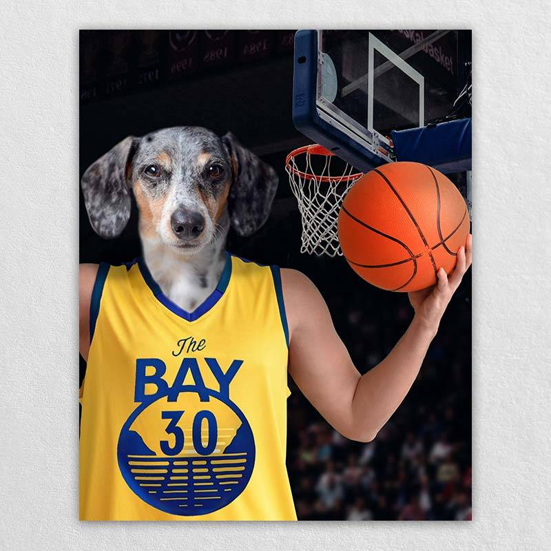 Golden State Warriors Pet Jersey Size XL - Sports Fan Shop