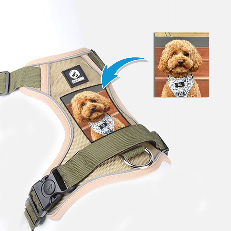 Dog Harness With Custom Printed Velcro Patch