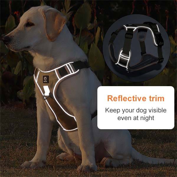 Dog Harness With Custom Printed Velcro Patch