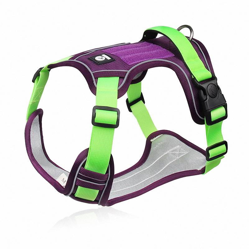 Dog Harness With Custom Printed Velcro Patch