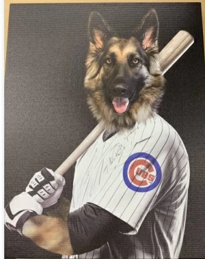 Custom Baseball Player Portrait for Tanya 1 – Praise My Pet!