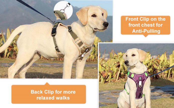 custom dog harness