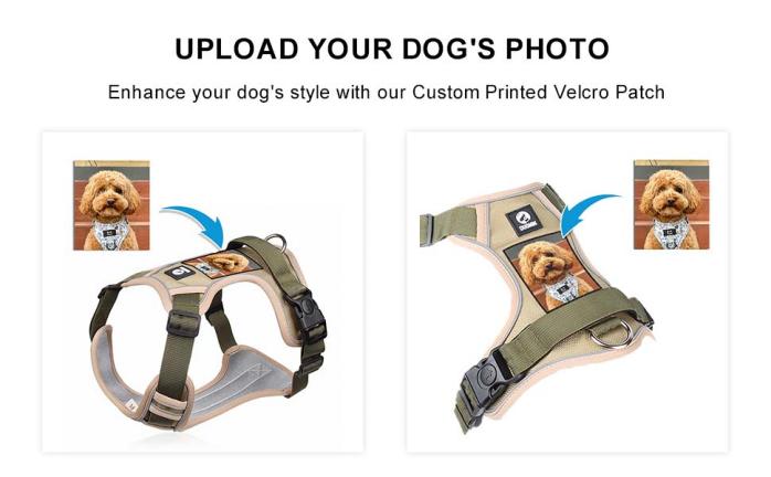 designer dog harness