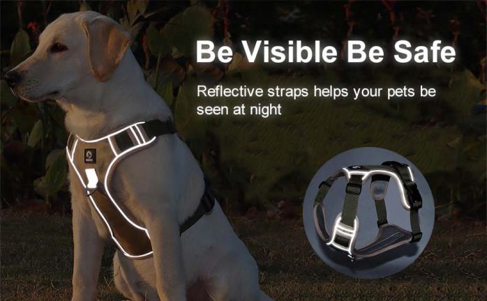 dog seat belt harness