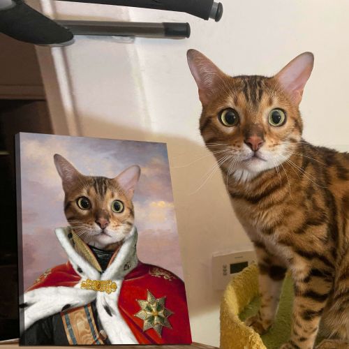 king custom royal pet portrait