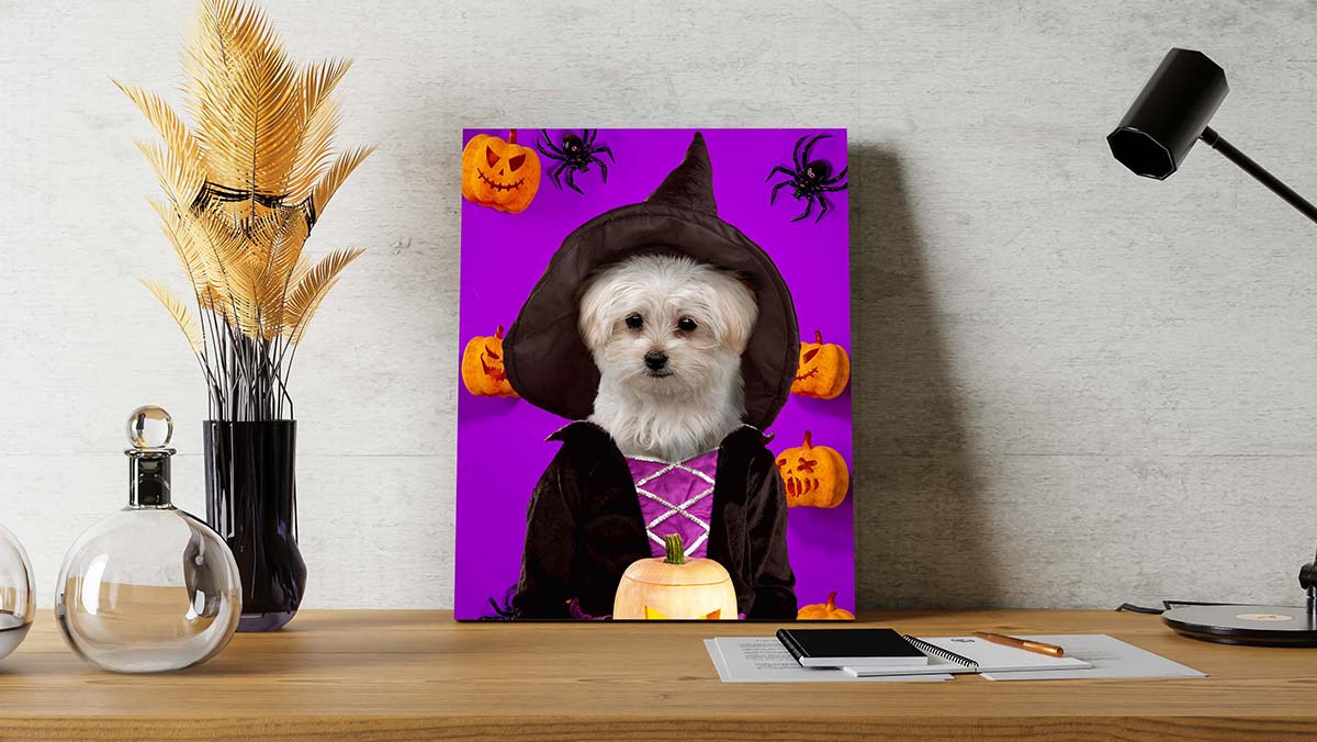 witch pet in costume portraits