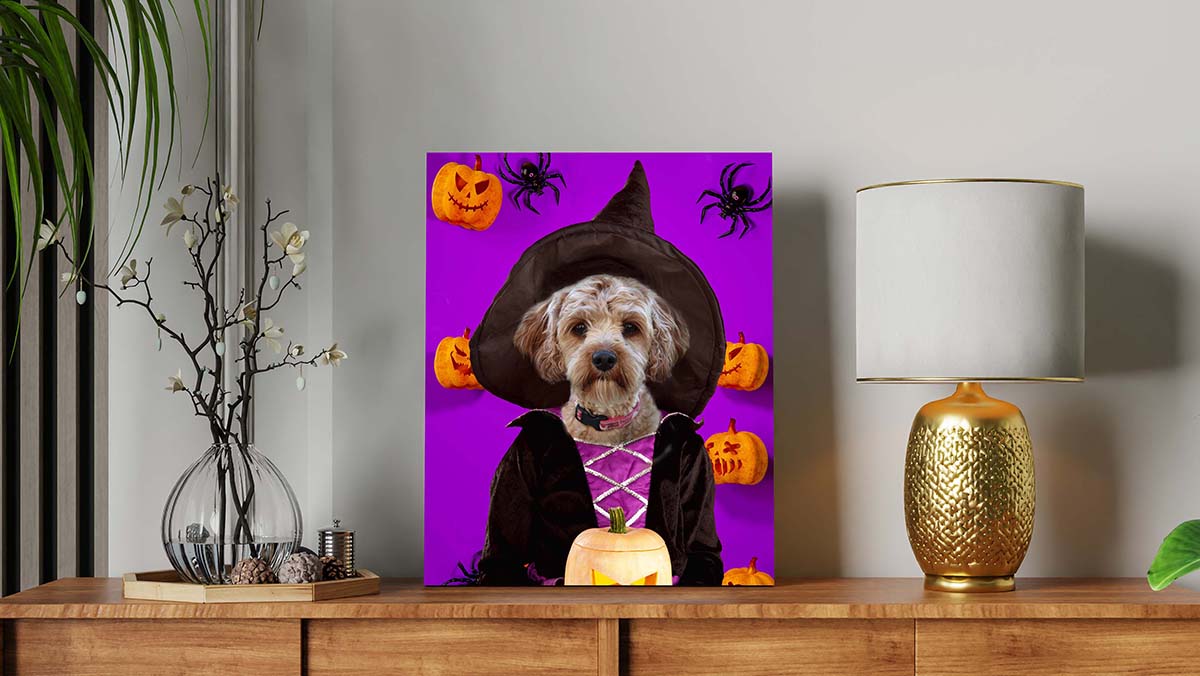 witch pets in costume portraits